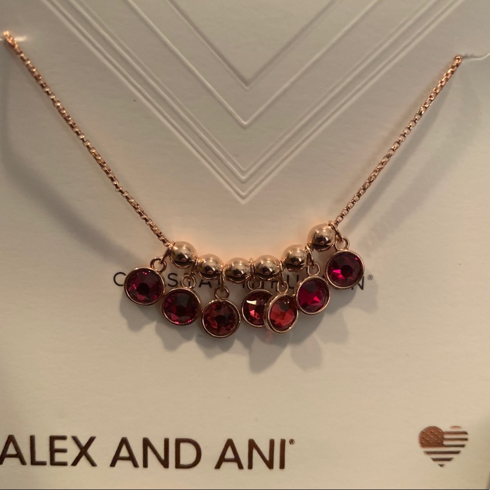 Alex and Ani Crystal Infusion necklace